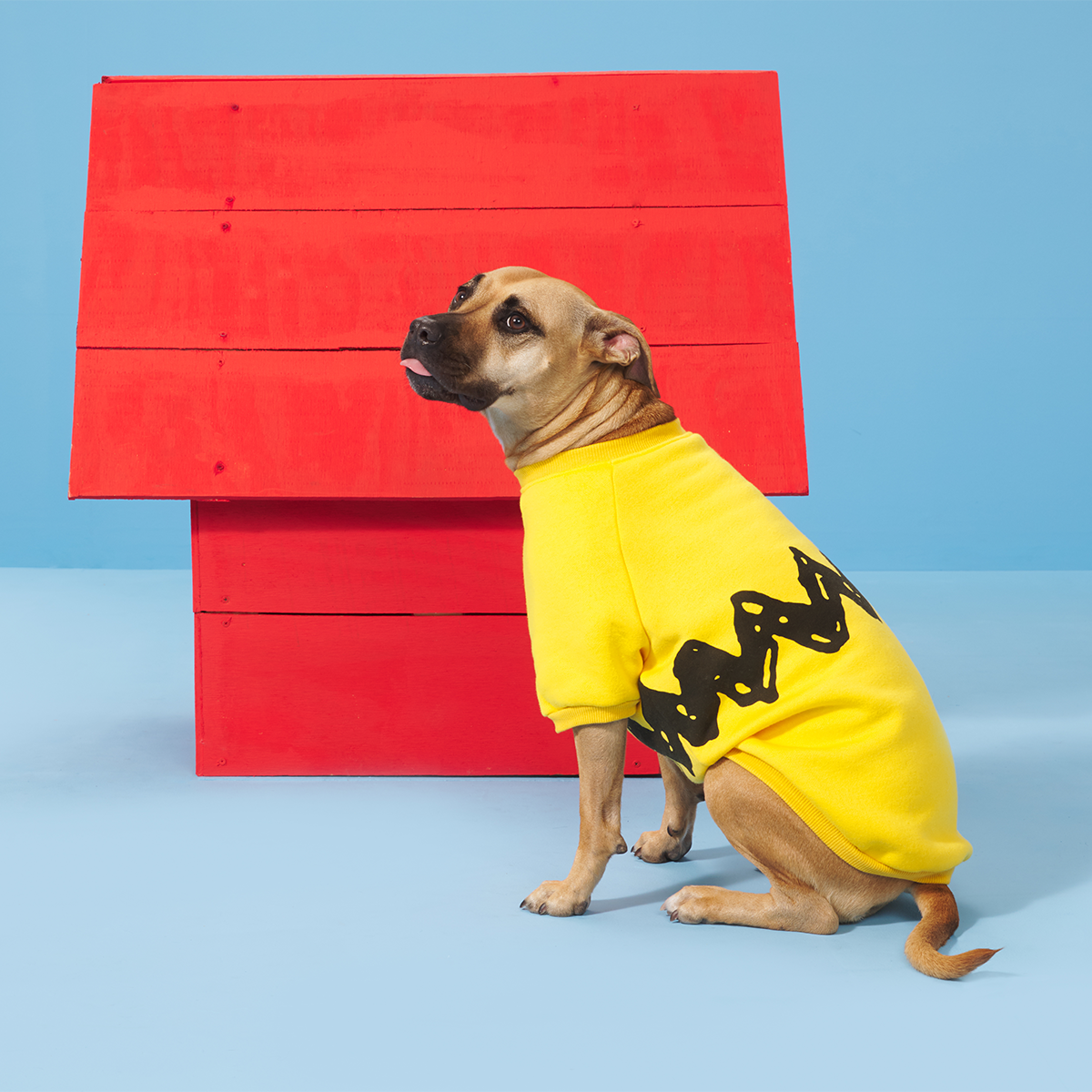 Peanuts Dog Sweatshirt