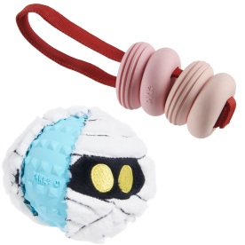 Durable Chew Toys Image