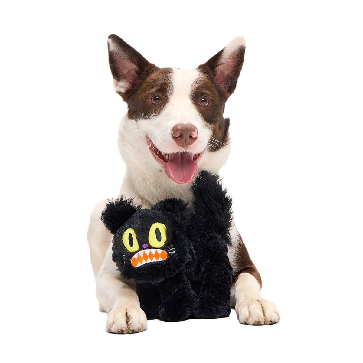 Scaredy Cat Plush Tug Dog Toy