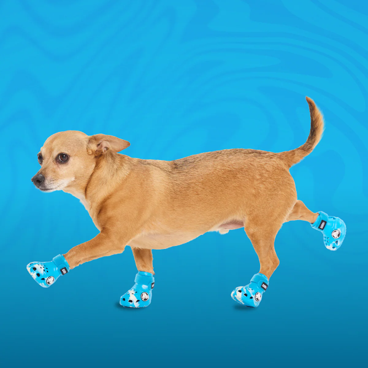 Crocs_-_Marina_-_Sm_Dog#Color_Marina