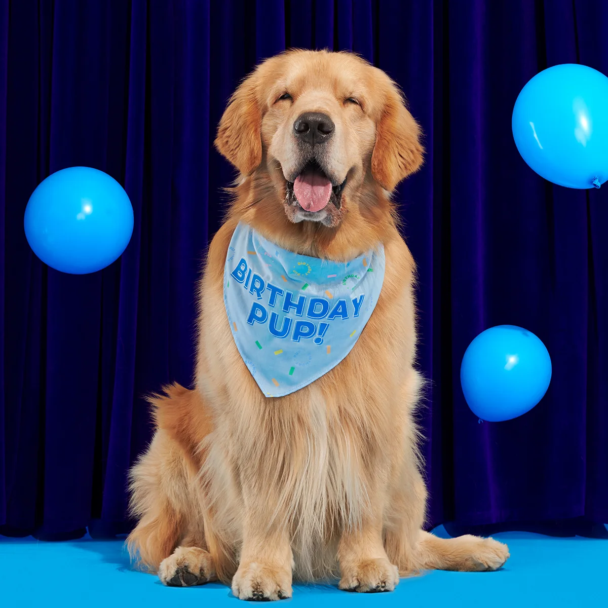 Birthday Super Chewer Box (Toy-Only) - One Month Gift Box#Dog Size_Large Dog