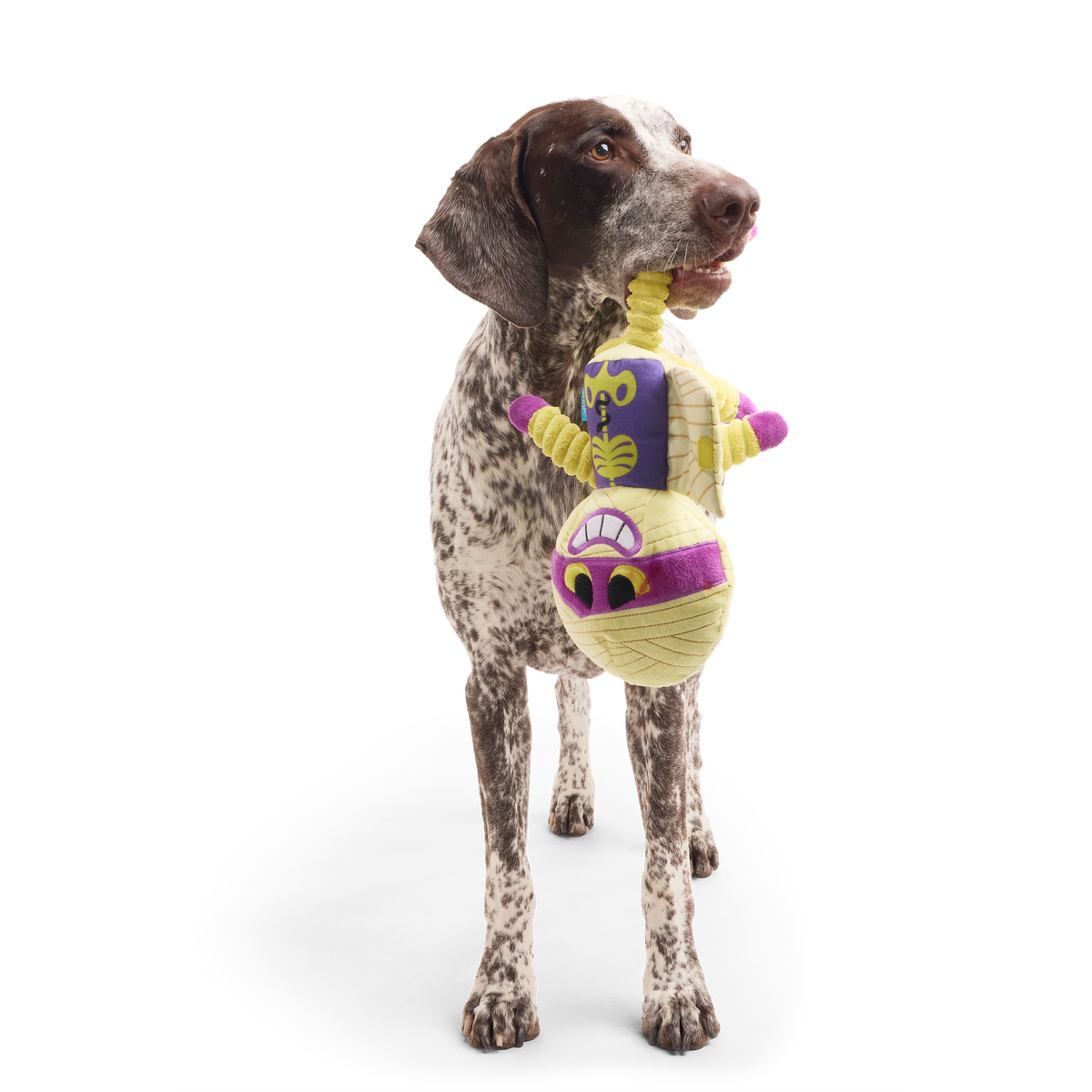 Unravelin’ Evan Plush Extra Large + Tug Dog Toy
