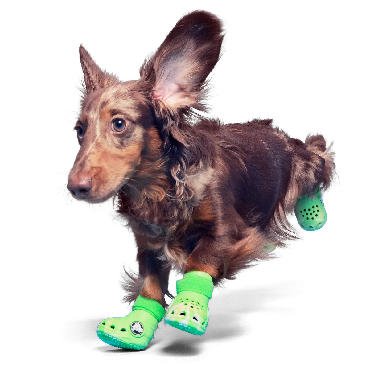 Crocs™ Shoes For Dogs#Color_Green Slime