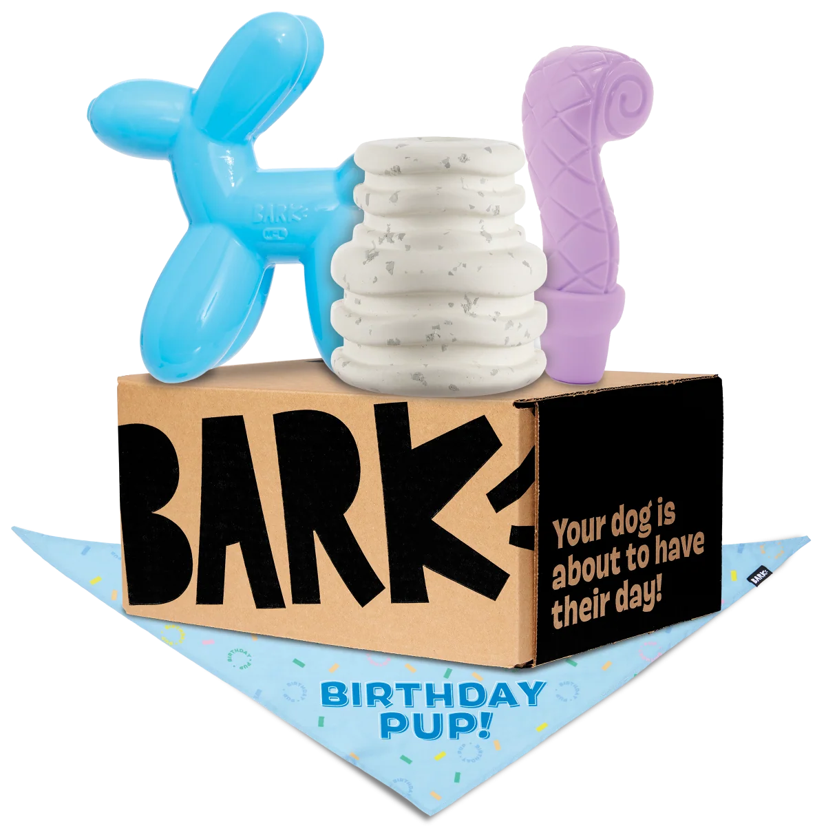 Birthday Super Chewer Box (Toy-Only) - One Month Gift Box#Dog Size_Large Dog