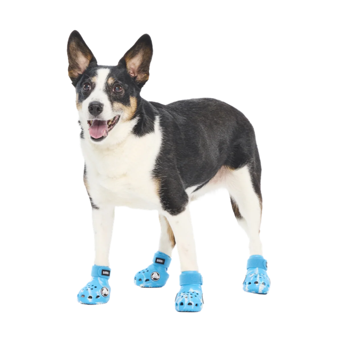 Crocs™ Shoes For Dogs#Color_Marina