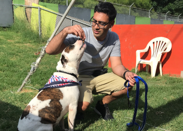 dog training