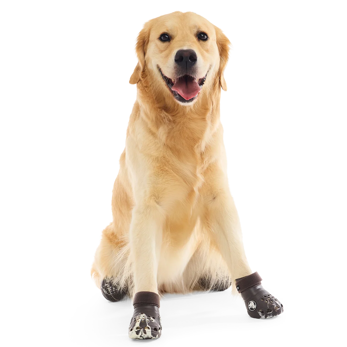Crocs™ Shoes For Dogs#Color_Espresso