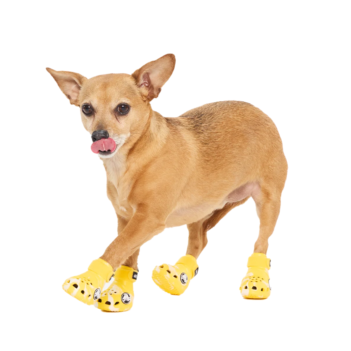 Crocs™ Shoes For Dogs#Color_Sunflower
