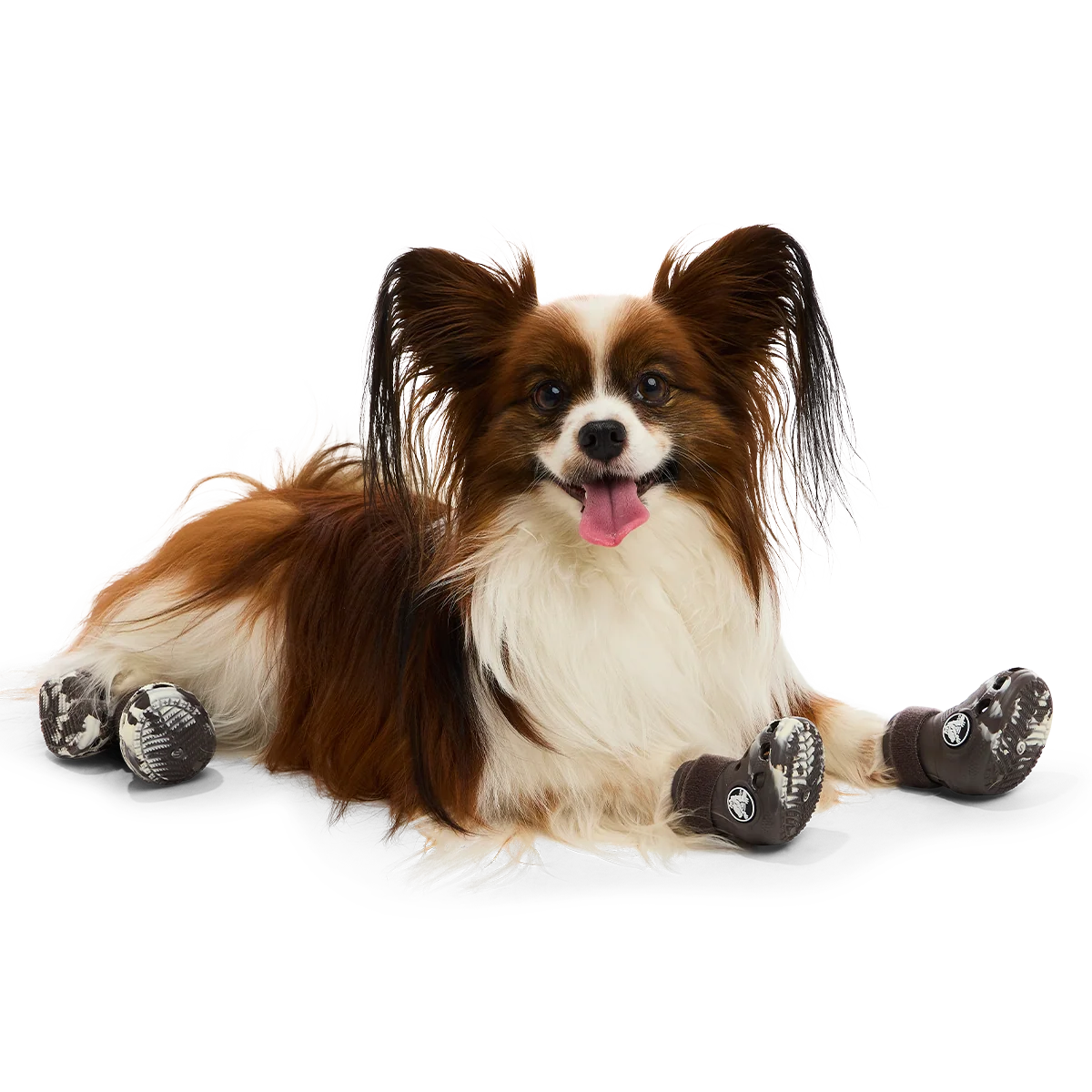 Crocs™ Shoes For Dogs#Color_Espresso