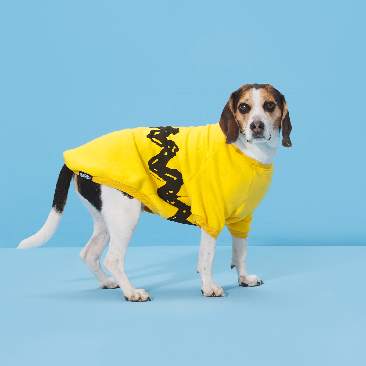 Peanuts Dog Sweatshirt