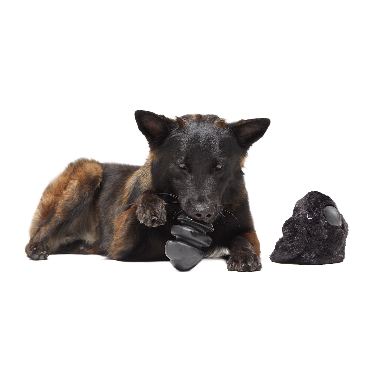Throwth The Raven Super Chewer Durable 2-in-1 + Enrichment Dog Toy