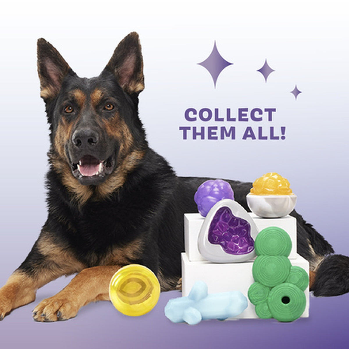 Crystal of the Month Club, Super Chewer Durable Monthly Dog Toys