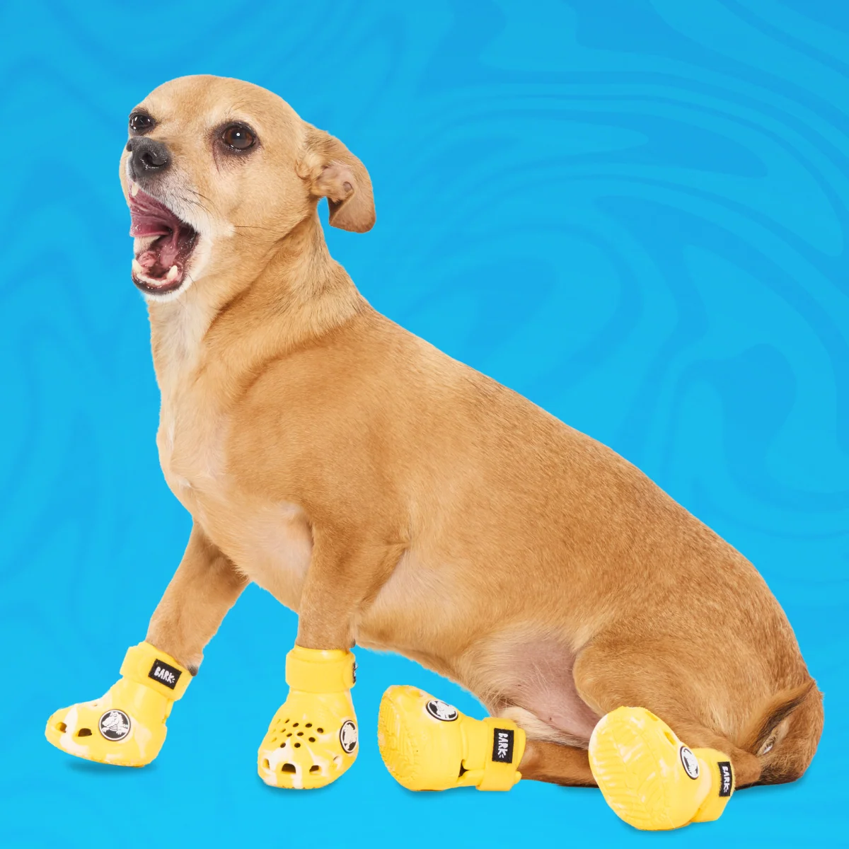Crocs_Sunflower_OnBlue1_cropped#Color_Sunflower
