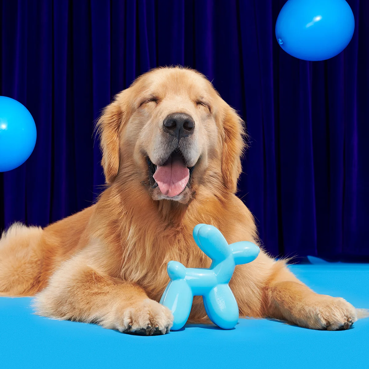 Birthday Super Chewer Box (Toy-Only) - One Month Gift Box#Dog Size_Medium Dog