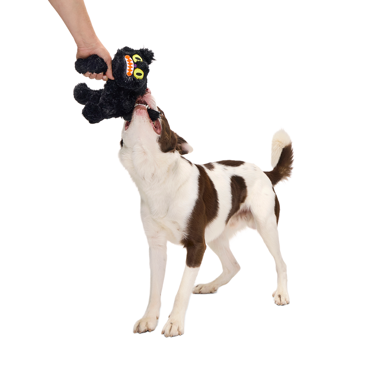 Scaredy Cat Plush Tug Dog Toy