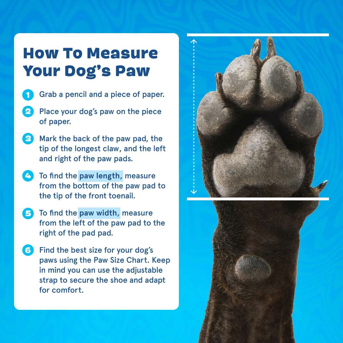 Crocs™ Shoes For Dogs