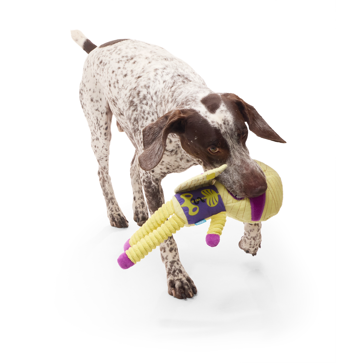 Unravelin’ Evan Plush Extra Large + Tug Dog Toy