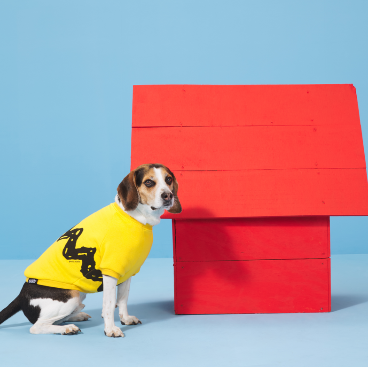 Peanuts Dog Sweatshirt