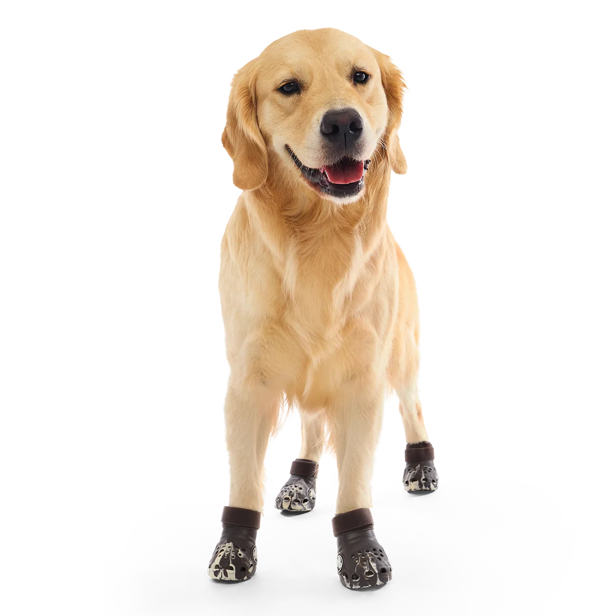 Crocs™ Shoes For Dogs#Color_Espresso