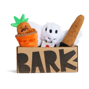 HARRY POTTER™ BarkBox - One Month Gift Box