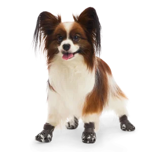 Crocs™ Shoes For Dogs
