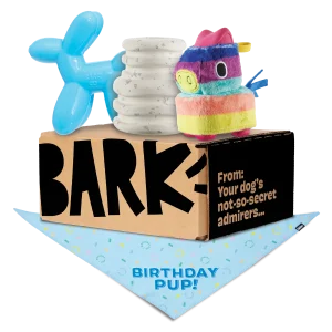 Birthday Super Chewer Box (Toy-Only) - One Month Gift Box