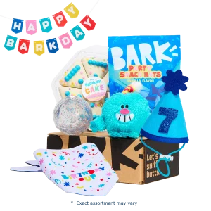 Birthday Super Chewer Gift Box